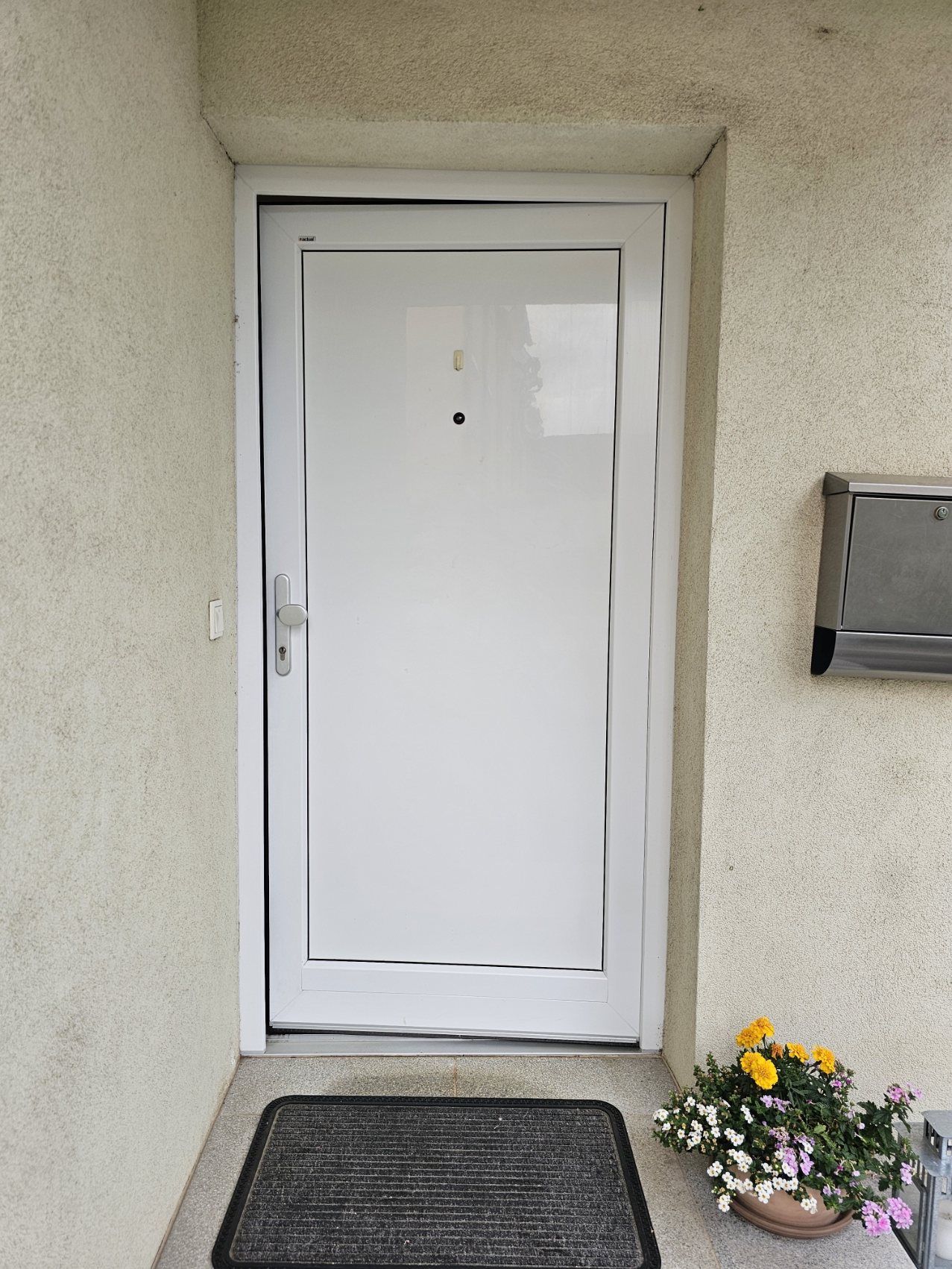Eingangstür vorher